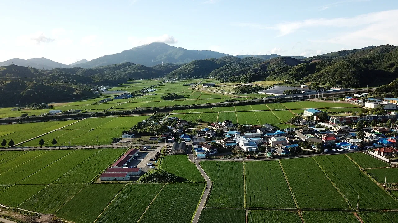 산과 논밭 사이에 자리한 농촌 마을 전경